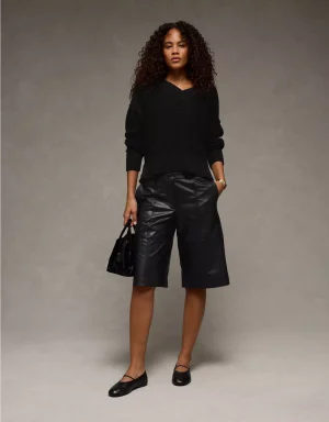 AE Long Weekend V-Neck Sweater