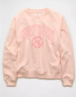 AE Funday Crew Neck Sweatshirt