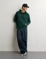 AE Lightweight Icon Logo Graphic Hoodie T-Shirt